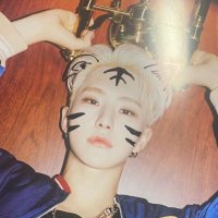 mir loves 승철, saw btob• *‧₊이찬 𓍯 𖧷(@5secofwtf) 's Twitter Profile Photo