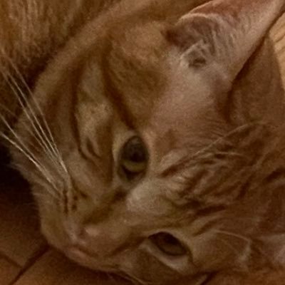 yu_i6521's profile picture. 