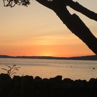 Wee Mama D (@doig_shirley) 's Twitter Profile