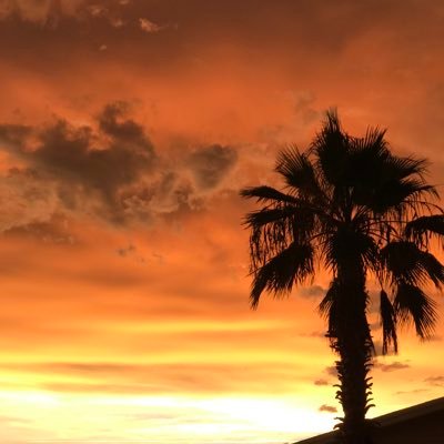 KevinVece's profile picture. 