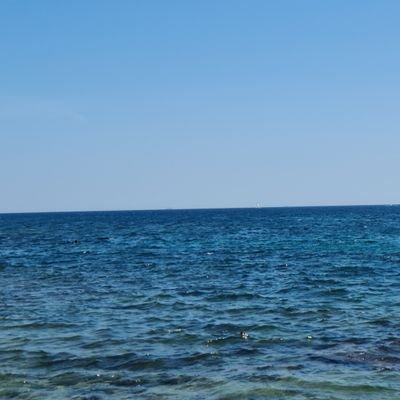 marikasahin's profile picture. 