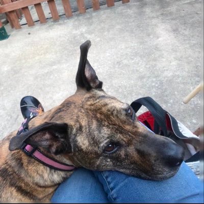 dyloo__'s profile picture. 