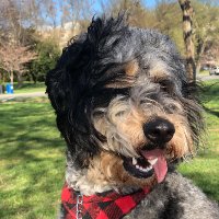 Artemis (@arteandnfts) 's Twitter Profile