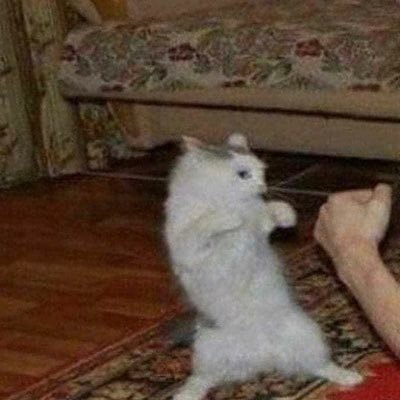 end_ling's profile picture. 