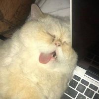 NURSULTAN ๐ ๐ก (@_osilama) 's Twitter Profile