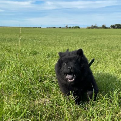 Tom70818922's profile picture. 