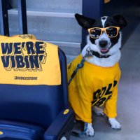 Lord Banner of Smashville (@predsnhlpup) 's Twitter Profile