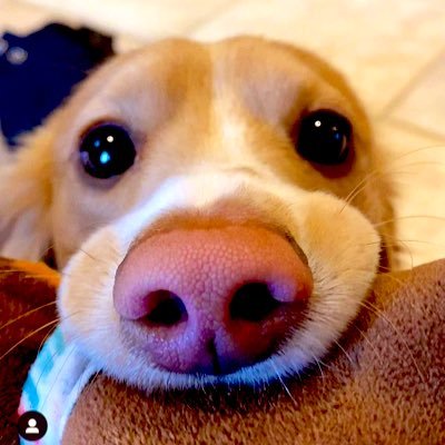 1897b9n's profile picture. 