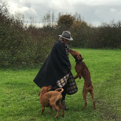 Angelique_hello's profile picture. My passion is to connect people and drive innovation. proud mother, all my own thoughts here.