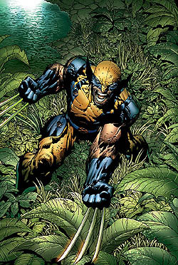 WolverineDave's profile picture. dad, coin collector, poker player, punk rocker