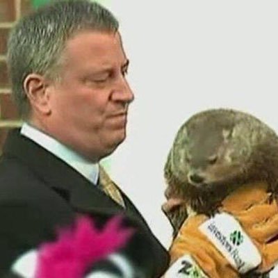 Welcome to Groundhog Nation. I am the groundhog that Bill de Blasio killed. Innocent Dead Groundhog tweeting from Heaven. Groundhogs endorse - ask us about it!