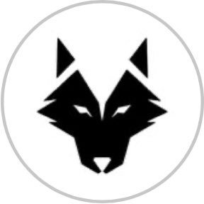 realwolfofdubai Profile Picture