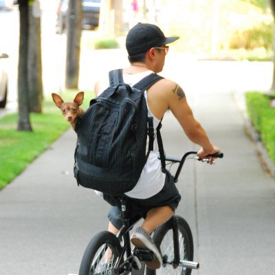 anthchou's profile picture. Super Villain / Super Nerd