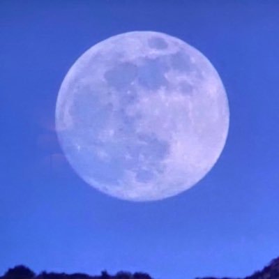 aquariushost's profile picture. Yo.