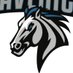 Joe Straus III Middle School (@nisdstraus) Twitter profile photo Joe Straus III Middle School (@nisdstraus) Twitter profile photo