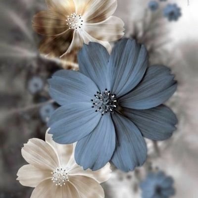 HanaaAbdo49's profile picture. 