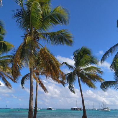 VeroCha43947824's profile picture. vadrouilleuse et chanceuse