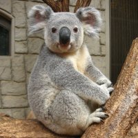 ioio_begining (@ioio_begining) 's Twitter Profile