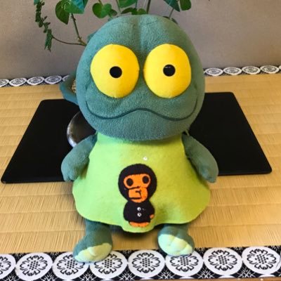 marinesfrontale's profile picture. 京都大学工学部 川崎フロンターレ、千葉ロッテマリーンズ、相撲、嵐 大島僚太選手、中村奨吾選手、若隆景関推し