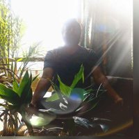 Brijesh Patel (@brijeshwarp) 's Twitter Profile