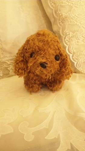 funyufunyuchan's profile picture. リツイートは全てが賛同の意ではありません。