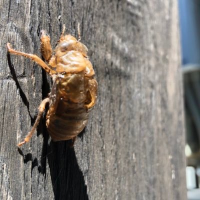 Sw4mtle0IDO9GyX's profile picture. 元気です