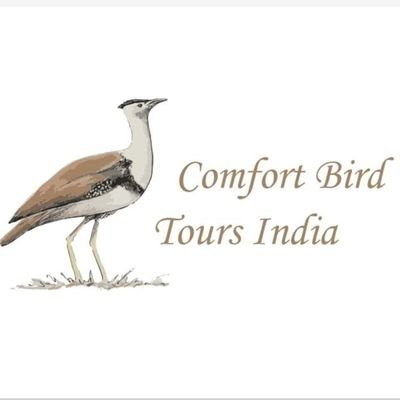 Birding & wildlife photography Tours Organise in all over India  
owner at @ComfortBirdToursIndia
https://t.co/ozaZKHgQFj