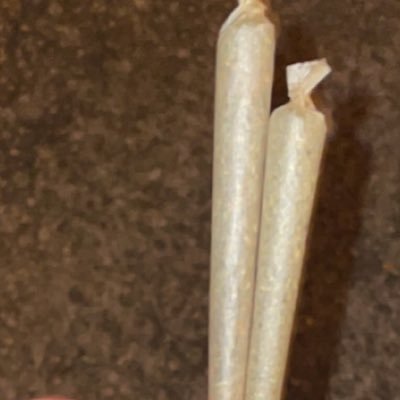 732d0n's profile picture. 