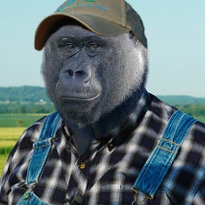 Harambe_vic Profile Picture