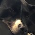 ✨andi✨ (@tiredofthink) Twitter profile photo ✨andi✨ (@tiredofthink) Twitter profile photo