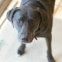 Walter McClain - @walteralbus - Twitter