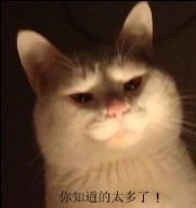 不敢写得太多