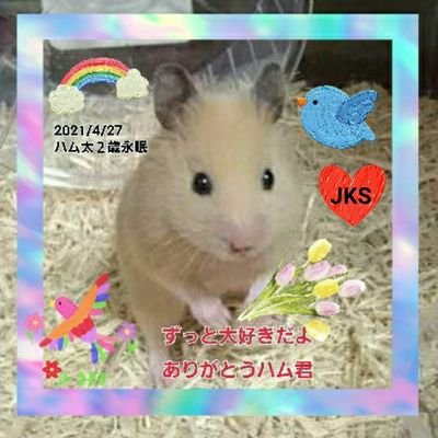 JKS鰻✨趣味アカですが政治を軌道修正するまで政治中心🌷4月から高2男子の母😅子ども達が誰もが安全安心に暮らせる希望持てる日本にしたい😉れいわ新選組支持🌹政治初心者🔰NO改憲NO独裁😰れいわオーナーズ3期目🌹2020年4月29日コロナで？49歳の弟を亡くしました😢両親に感謝💗二文卒🎓1967