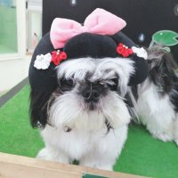 Zawa (@lktgu) 's Twitter Profile