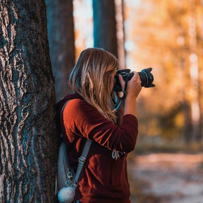 Abinaya72118515's profile picture. Professional Photographer
Follow passion
Fight for dream
Connect with 📷