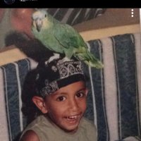 TJ Bhui (@tjbhui) 's Twitter Profile Photo TJ Bhui (@tjbhui) 's Twitter Profile Photo