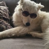 Market donator (@market_donator) 's Twitter Profile