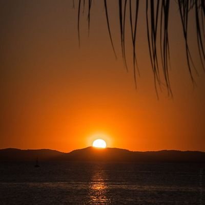 rawahi_hamed's profile picture. وزارة التربية والتعليم