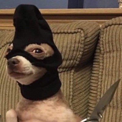 nnnapidckd Profile Picture