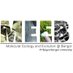 MEEB (@meebangor) Twitter profile photo MEEB (@meebangor) Twitter profile photo