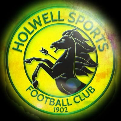 Holwell Sports FC