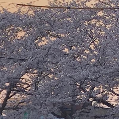 さらささんのプロフィール画像