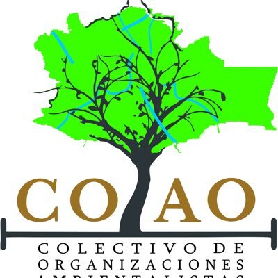 Colectivo de Organizaciones Ambientales de Oaxaca (COAO), ciudadanos que trabajamos en la conservación y mejoramiento del medio ambiente. Reportes MD