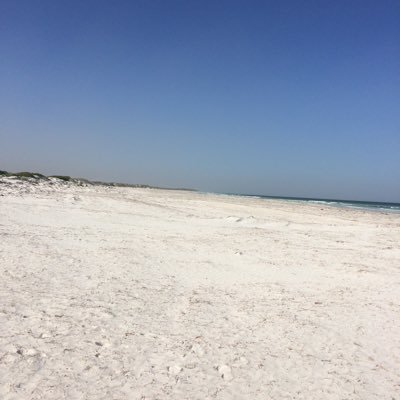 Sarahjane_2207's profile picture. 