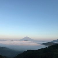 きりん (@akachari3) 's Twitter Profile
