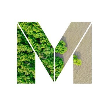 mangroveyhtiot's profile picture. 