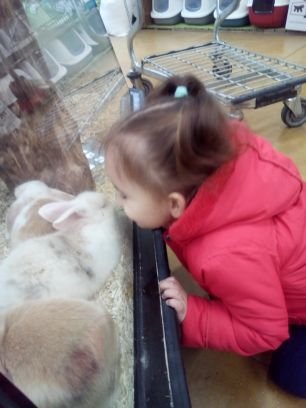 LaGauth16450278's profile picture. patriote