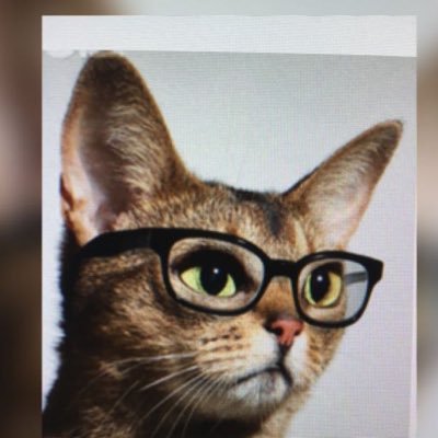 Labcat161's profile picture. 