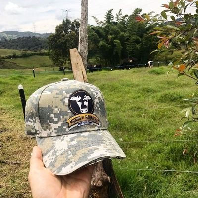 KORO_NEL's profile picture. 