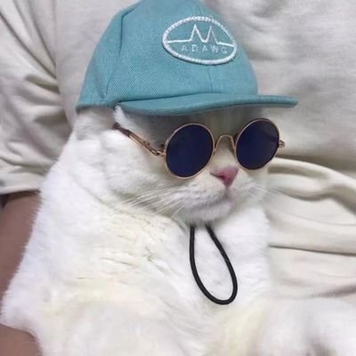 LucyYehuda's profile picture. We all live in the past